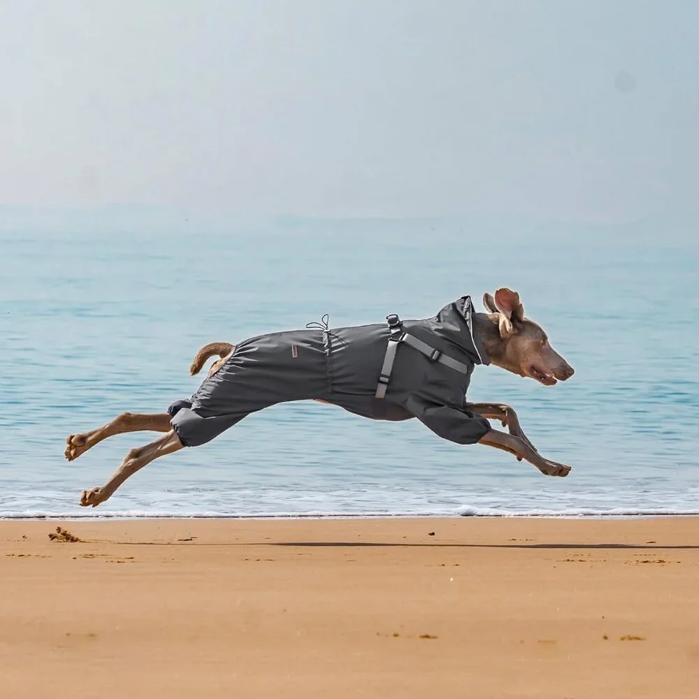 Dog Raincoat with Harness for Medium and Large Dogs